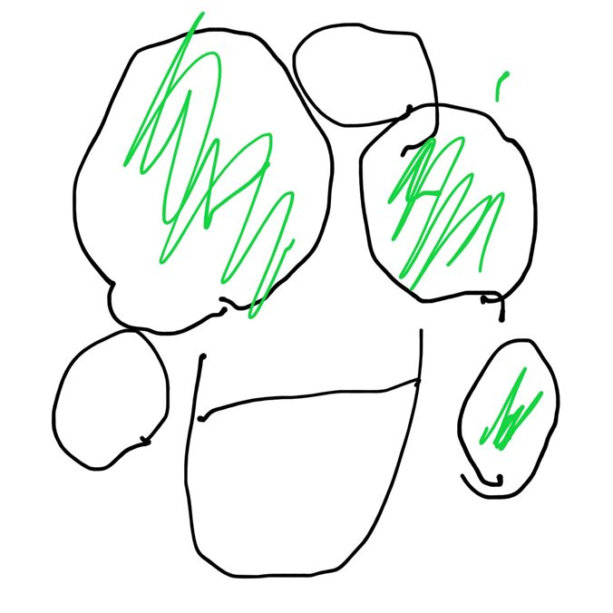 まりも
