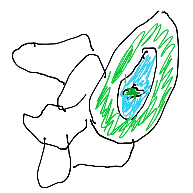 グリーダ・ヴァン