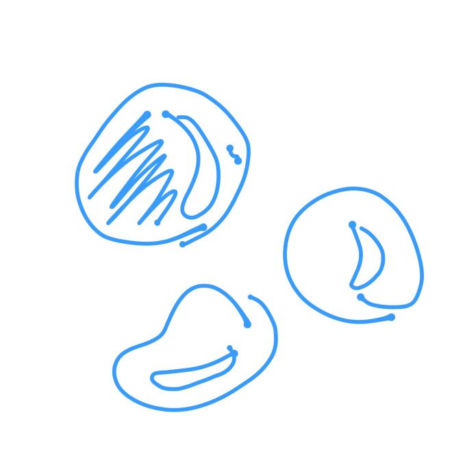 みすと